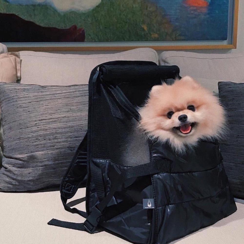 Zu e lu trasportino zaino animali city malta medium 7 kg