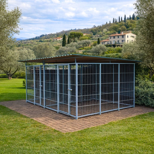 2 box per cani da esterno coperto con zincatura a caldo ciascuno da 300x200x altezza 180 cm