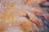 Stampa Su Tela Con Applicazioni -B- Flamingo Cm  120X3.8X80