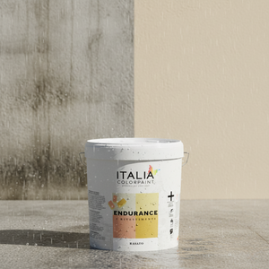 Endurance rasato acrilico 0,7 rivestimento spatolato antialga *** formato 25 kg, confezione 1