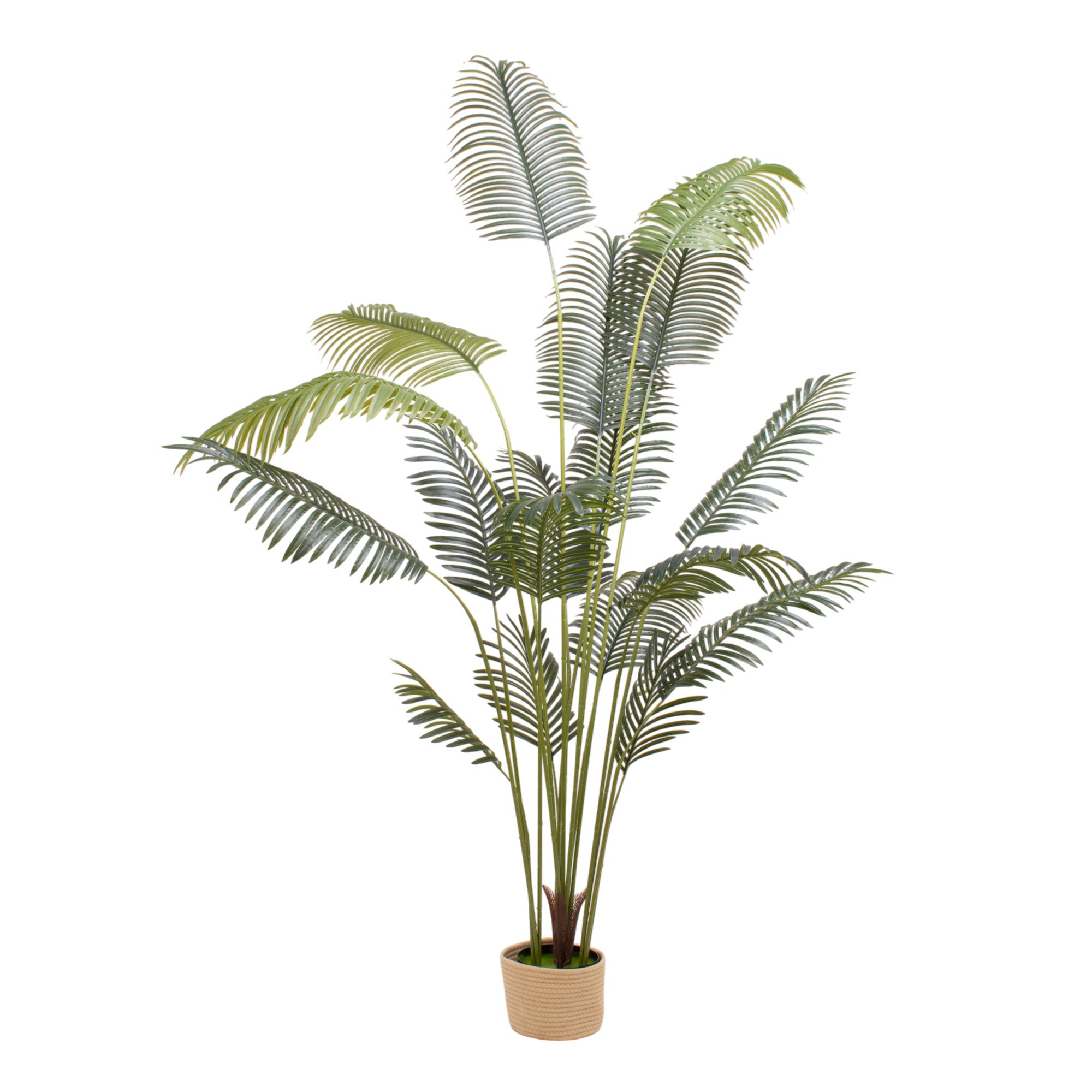 Kentia 210 - Pianta Artificiale Decorativa Tropicale Kentia H210 cm per Interno Esterno con Vaso Beige