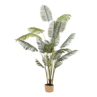 Kentia 210 - Pianta Artificiale Decorativa Tropicale Kentia H210 cm per Interno Esterno con Vaso Beige