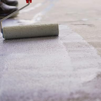 Primer universale trasparente per pavimenti in cemento promocem da 5 lt