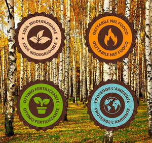 Kit 500 Palette Palettine in legno per caffe imbustate biodegradabile 64274