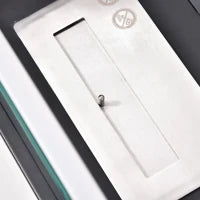 Camino a Bioetanolo Portatile, Biocamino da Tavolo o da Terra in Acciaio e Vetro, Serbatoio da 1.5L, Bianco e Nero