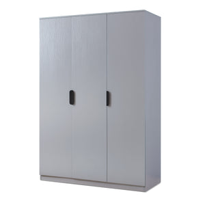 Armadio Guardaroba Eiselfing con 4 Scomparti 176 x 120 x 52 cm Grigio [en.casa]