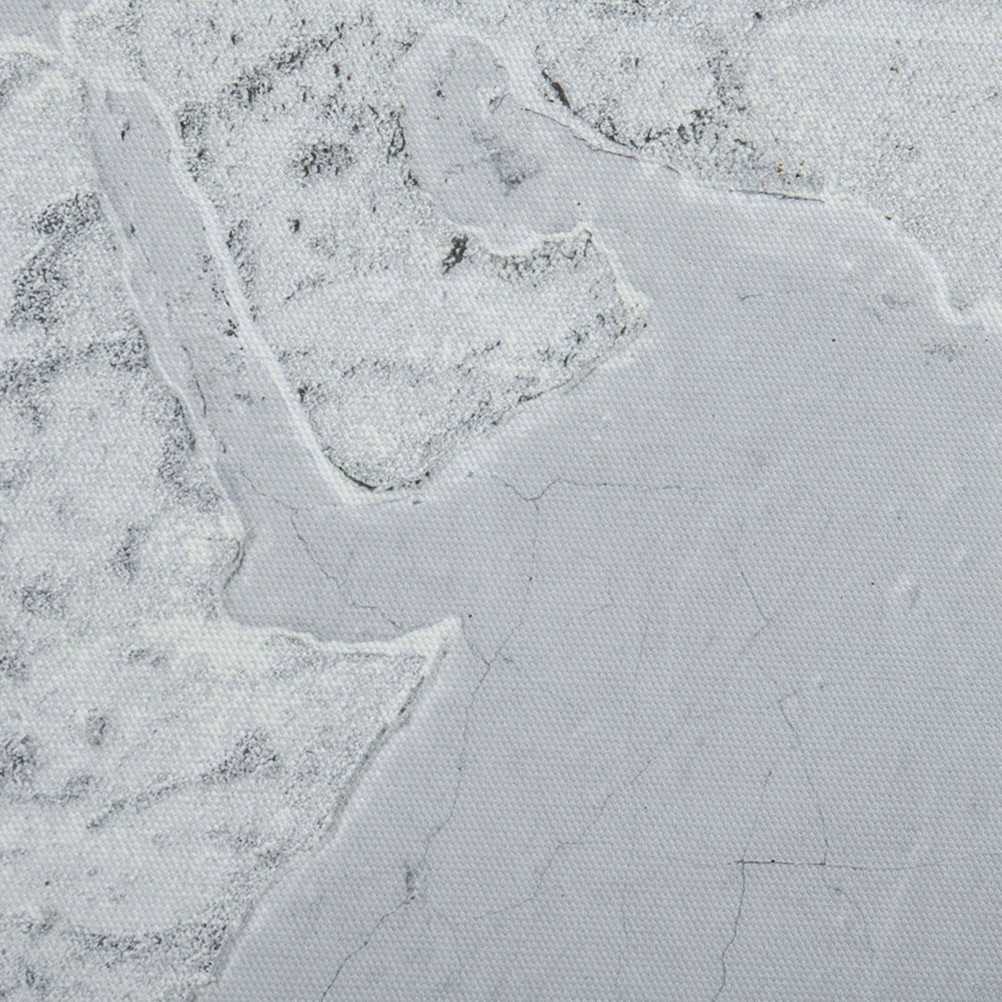 EasyComfort Stampa su Tela in Legno di Pino 120x90cm per Casa e Ufficio, Grigia e Bianca