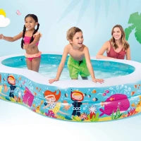 56490NP - Piscina Paradise Cm 262X160X46