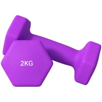 Set 2 Manubri 2x2 kg Esagonali e Antiscivolo per Casa e Palestra, in Metallo e Plastica, 16x7.5x7.5 cm, Viola