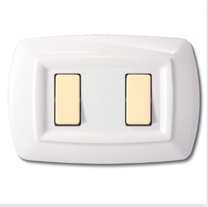 Elettrocanali tondo' placca tecnopolimero 2 posti bianca