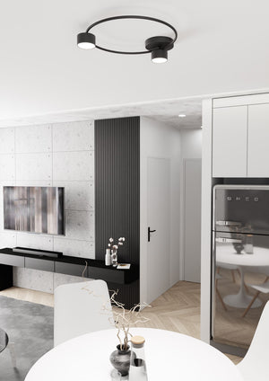 Plafoniera Moderna Zeus Acciaio Nero 2 Luci Gx53 Ip20