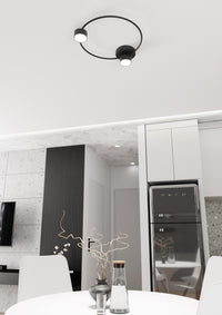 Plafoniera Moderna Zeus Acciaio Nero 2 Luci Gx53 Ip20