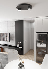 Plafoniera Moderna Dioniso Acciaio Nero 2 Luci Gx53 Ip20