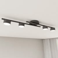 Plafoniera 4 Luci Freyr In Acciaio Nero Diffusori Cilindrici