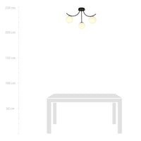 Plafoniera Moderna 3 Luci Coeo In Acciaio Nero E Diffusori In Vetro Opale