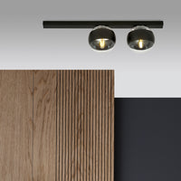 Plafoniera Moderna Giapeto Acciaio Nero 2 Luci E14 Ip20