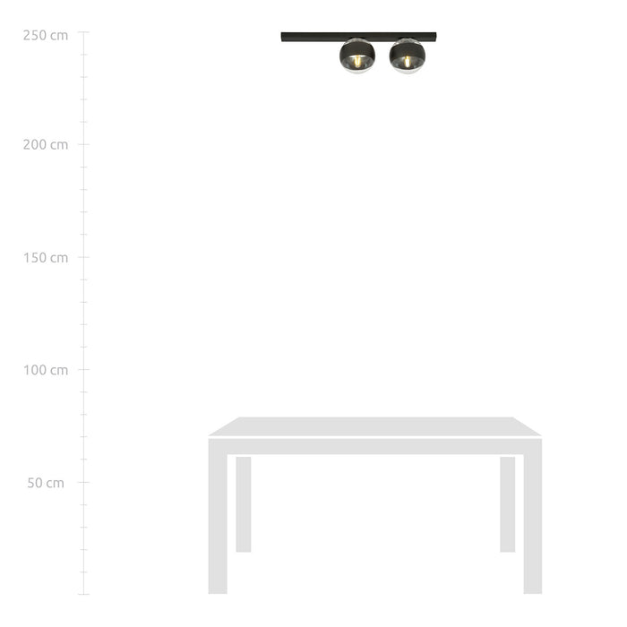 Plafoniera Moderna Giapeto Acciaio Nero 2 Luci E14 Ip20