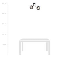 Plafoniera Contemporaneo Orione Acciaio Nero Trasparente 2 Luci E14 Ip20
