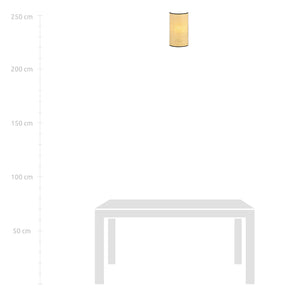 Applique Nordica 1 Luce Drago In Acciaio Nero E Rattan