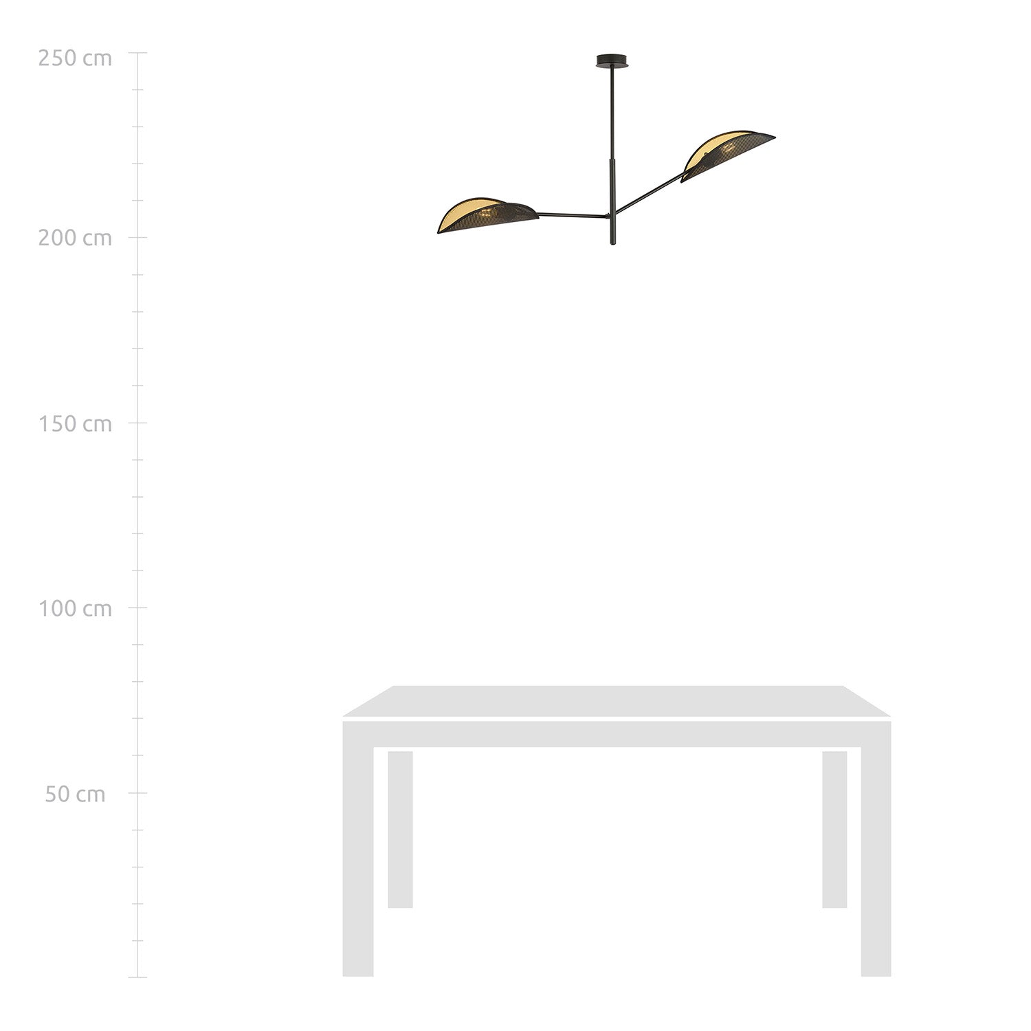Lampadario 2 Luci Eridano In Acciao Nero E Oro Con Bracci Mobili