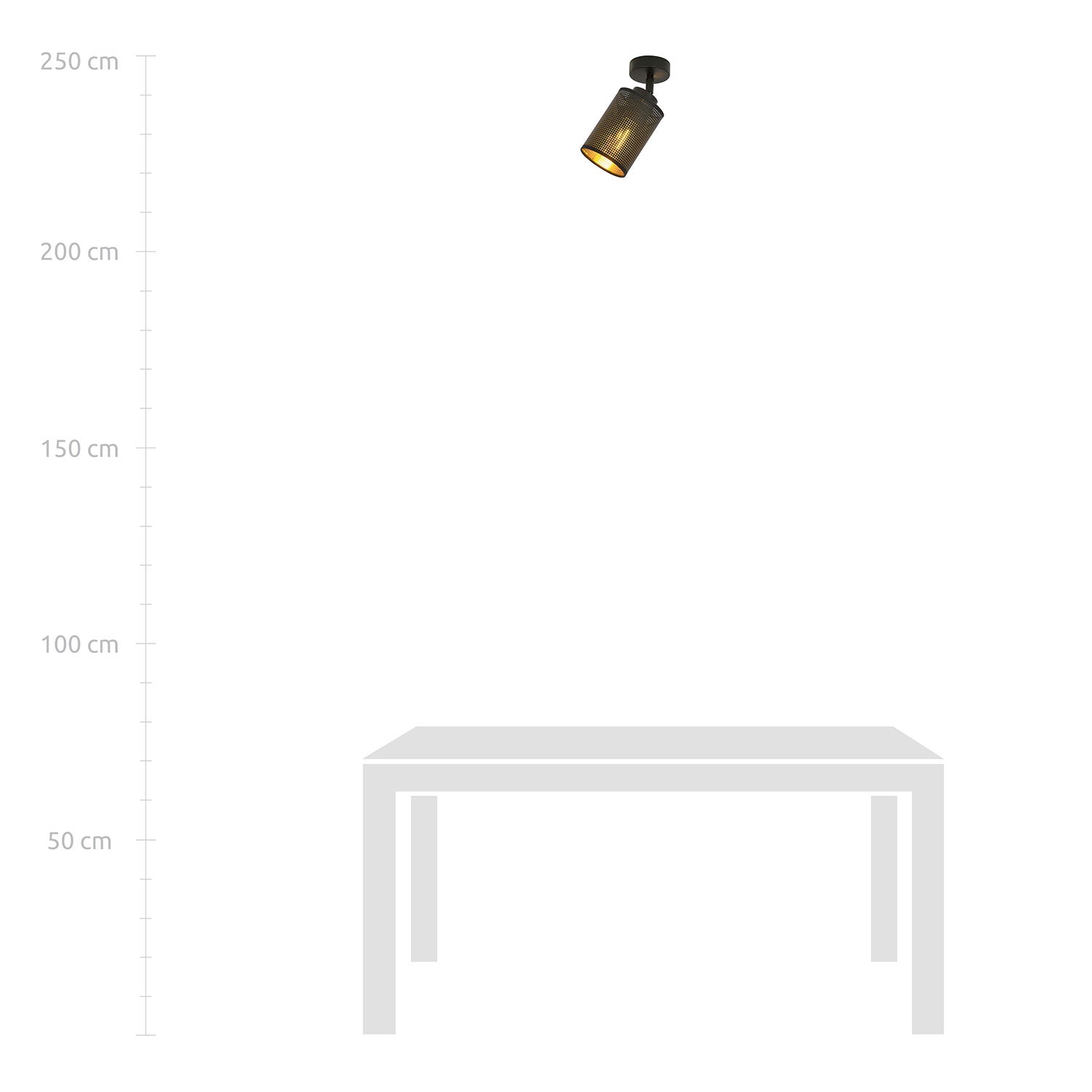 Plafoniera Spot 1 Luce Varuna In Acciaio Nero E Oro Paralumi Regolabile
