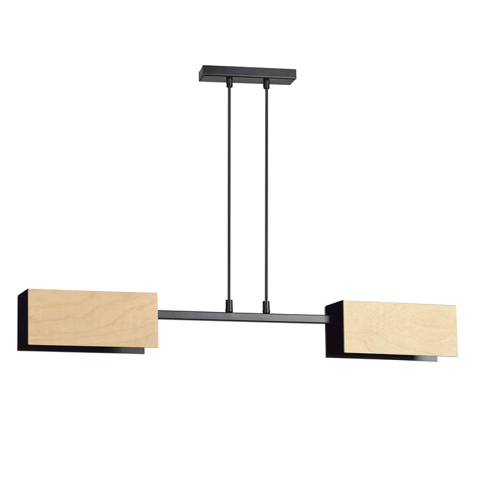 Lampadario Minimal Sarutahiko Acciaio Nero 2 Luci E27 Ip20