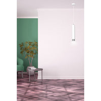 Sospensione 1 Luce Brunilde In Acciaio Bianco Con Tubolare In Bianco E Cromo