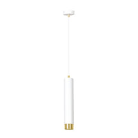 Sospensione 1 Luce Brunilde In Acciaio Bianco Con Tubolare In Bianco E Oro