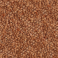 Pavimento drenante fai da te ciottoli in marmo e resina rosso verona 15,750 kg