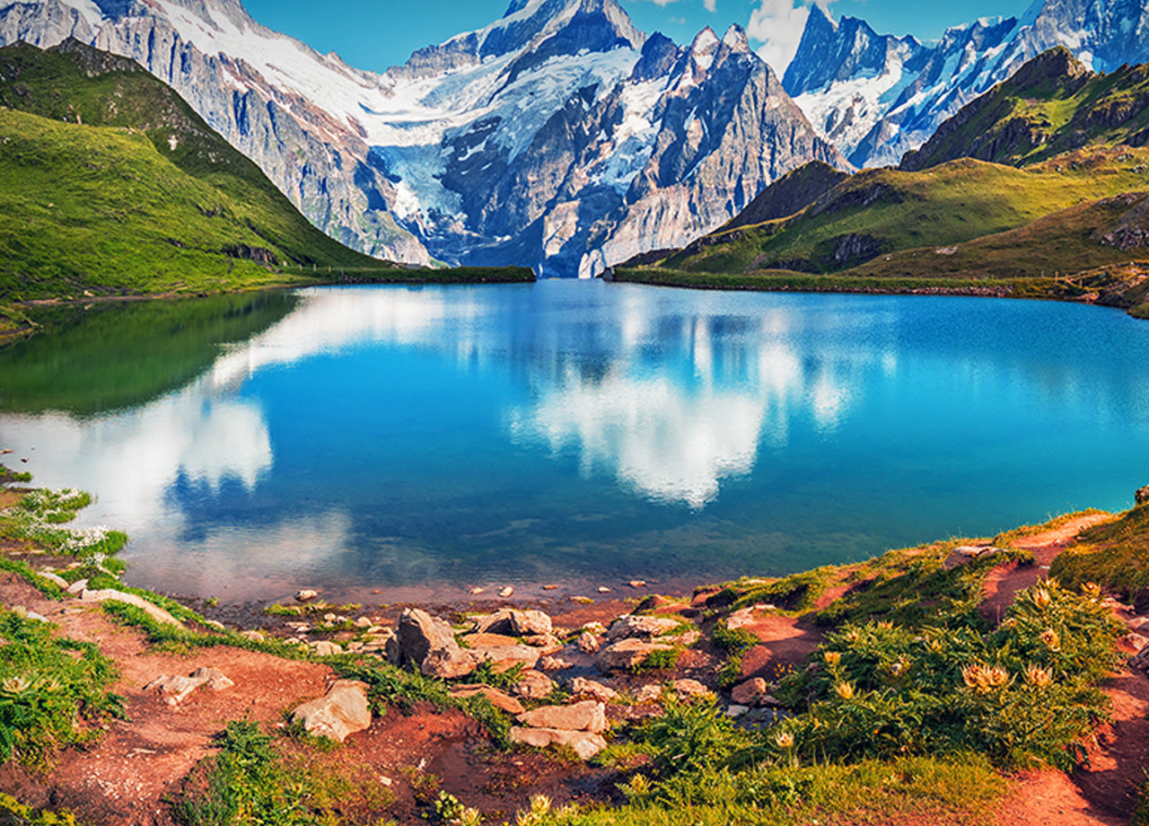 Lenzuola Copriletto Letto Sogni D'oro 100% Cotone Disegno Bernese 63 - Singolo - Bernese 63