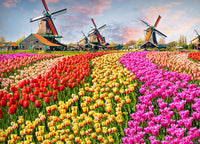 Lenzuola Copriletto Letto Sogni D'oro 100% Cotone Disegno Olanda 60 - Piazza E Mezza - Olanda 60