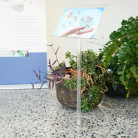 Leggio in plexiglass con portalibro A3