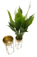 Porta Fiori Glam Coppia Cm Ø 27X62-21,5X52