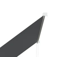 Tenda da Sole a Bracci con Apertura Manuale, Inclinazione e Protezione UV30+, 150x120 cm, Grigio