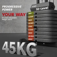 Stazione Fitness Multifunzione con 45 kg di Pesi per Home Gym, 160x108x200 cm, Nero