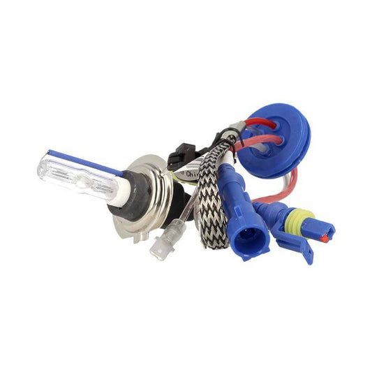 Lampada Hid Xenon H7 4300K Accensione Veloce +50% Luminosita 35W Piu Gas Xenon Attacco Ferro