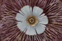 Pannello In Ferro Bunga Cm 73,5X11X72