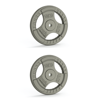 2 piastre da 10 kg con presa tripla – foro 25 mm.