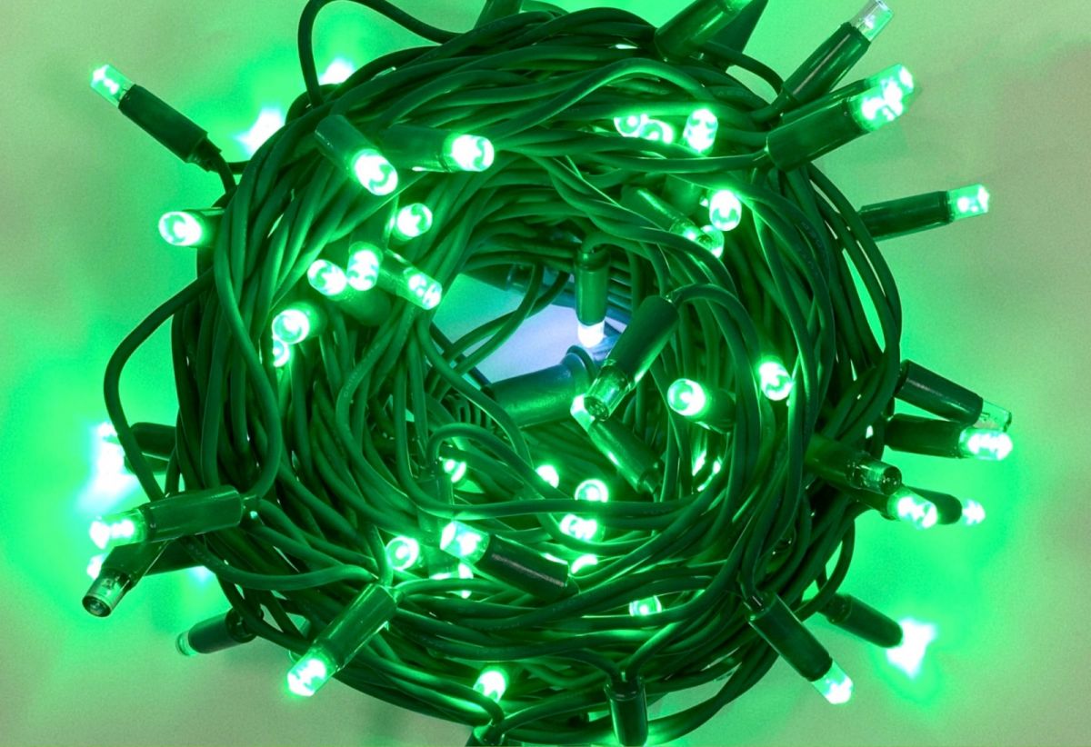 Luci Natale Catena Luminosa 100 LED 10 Metri Filo Verde Luce Verde Flesh Bianco Esterno IP65