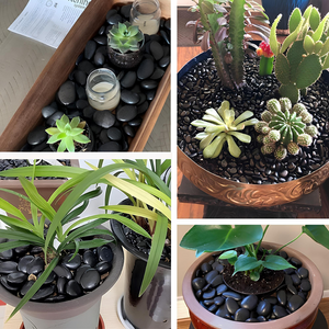 Ciottoli nero ebano effetto bagnato brillante con cir tono plus protettivo *** misura 25/40, formato 25 kg + 1 l, con...