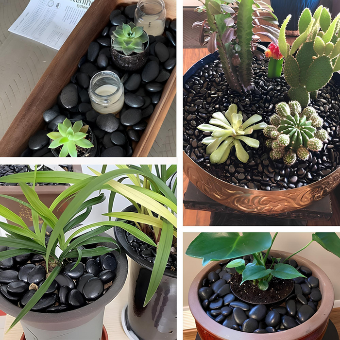 Ciottoli nero ebano effetto bagnato brillante con cir tono plus protettivo *** misura 25/40, formato 25 kg + 1 l, con...