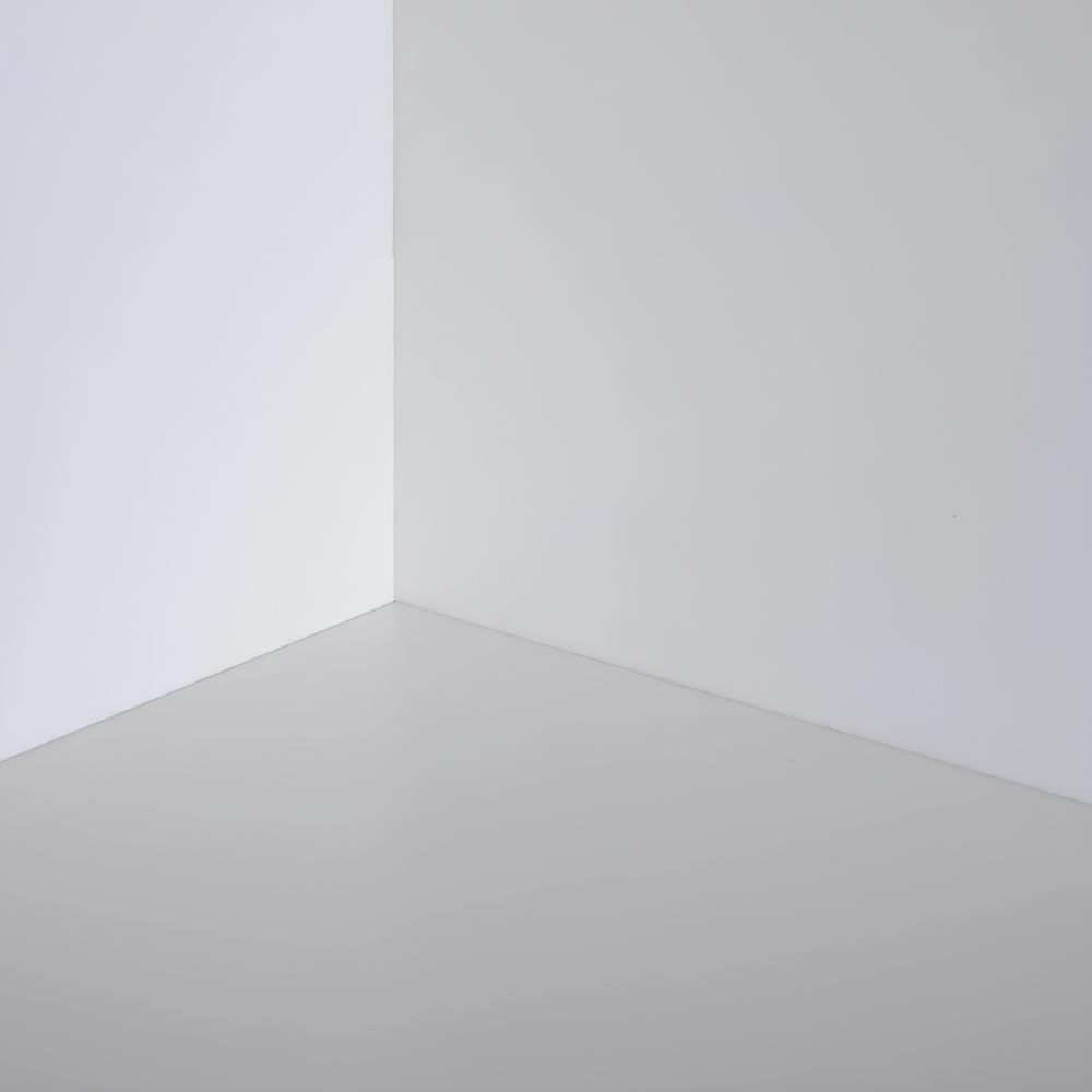 Fissativo bonificante sanificante biofix barriera protettiva antimuffa antialga *** formato 1 lt, confezione 1