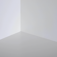 Fissativo bonificante sanificante biofix barriera protettiva antimuffa antialga *** formato 1 lt, confezione 1