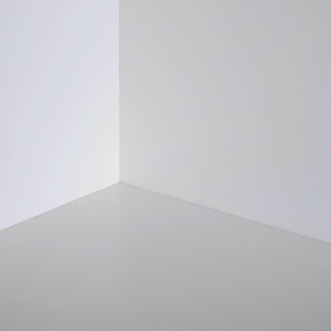 Fissativo bonificante sanificante biofix barriera protettiva antimuffa antialga *** formato 1 lt, confezione 1