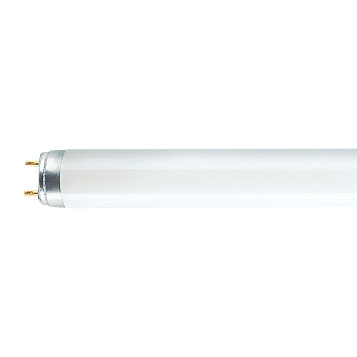 NEON LINEARE TRIFOSFORO 58 W - 1500 mm - luce fredda OSRAM