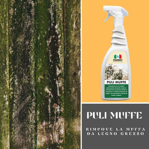 Detergente per rimuovere muffa PULI MUFFE   750MLx6Pz