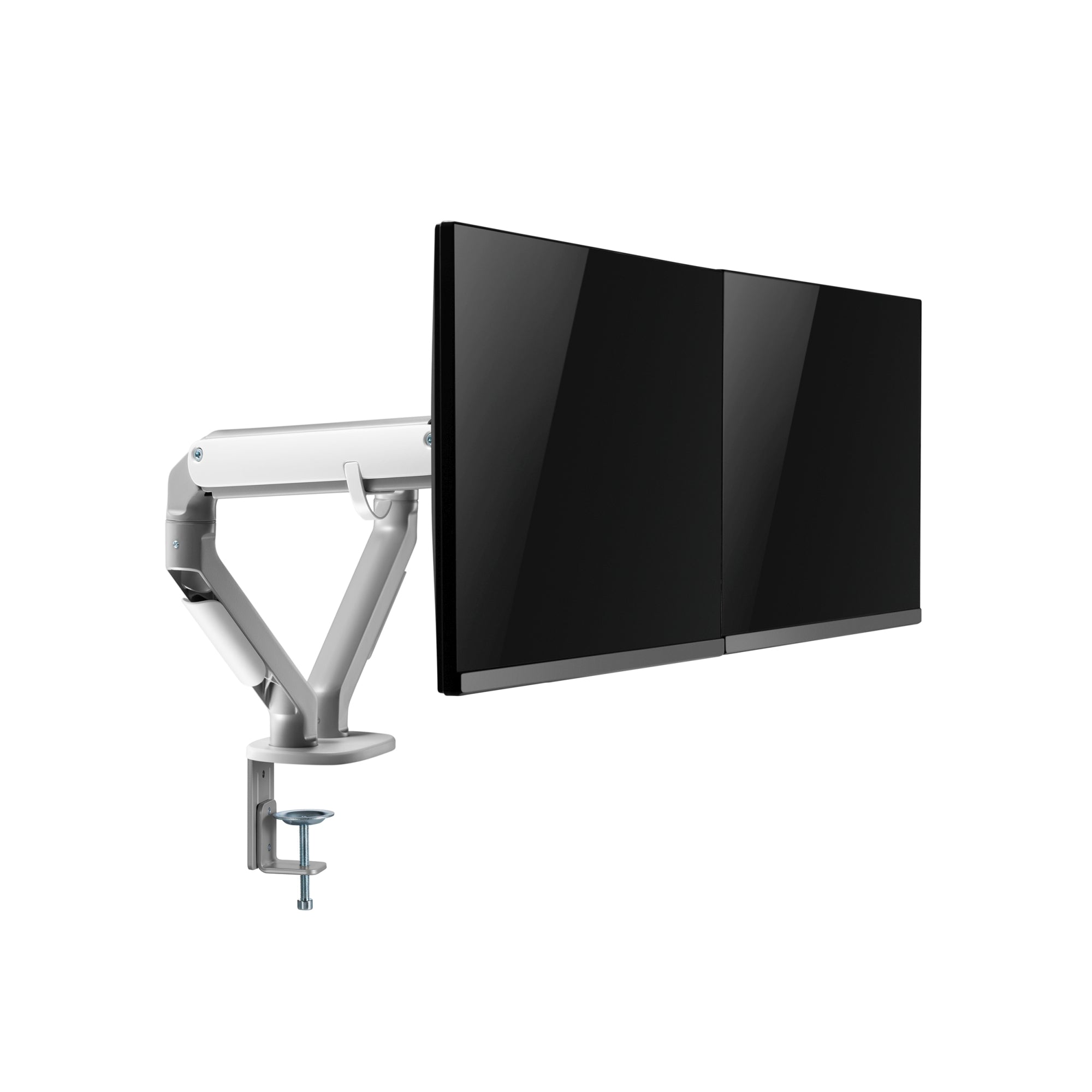 Bracci Monitor Selbu per Scrivania Supporto Doppio pro.tec