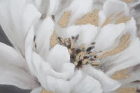 Dipinto Su Tela White/Gold Flower Cm 80X3,7X100