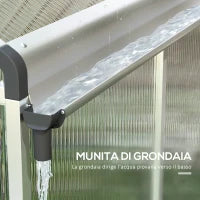 Serra da Giardino in Policarbonato con Finestra, Porta con Blocco e Grondaia, 2.5x2x2m