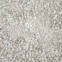 Pavimento drenante fai da te ciottoli in marmo e resina bianco carrara 15,750 kg